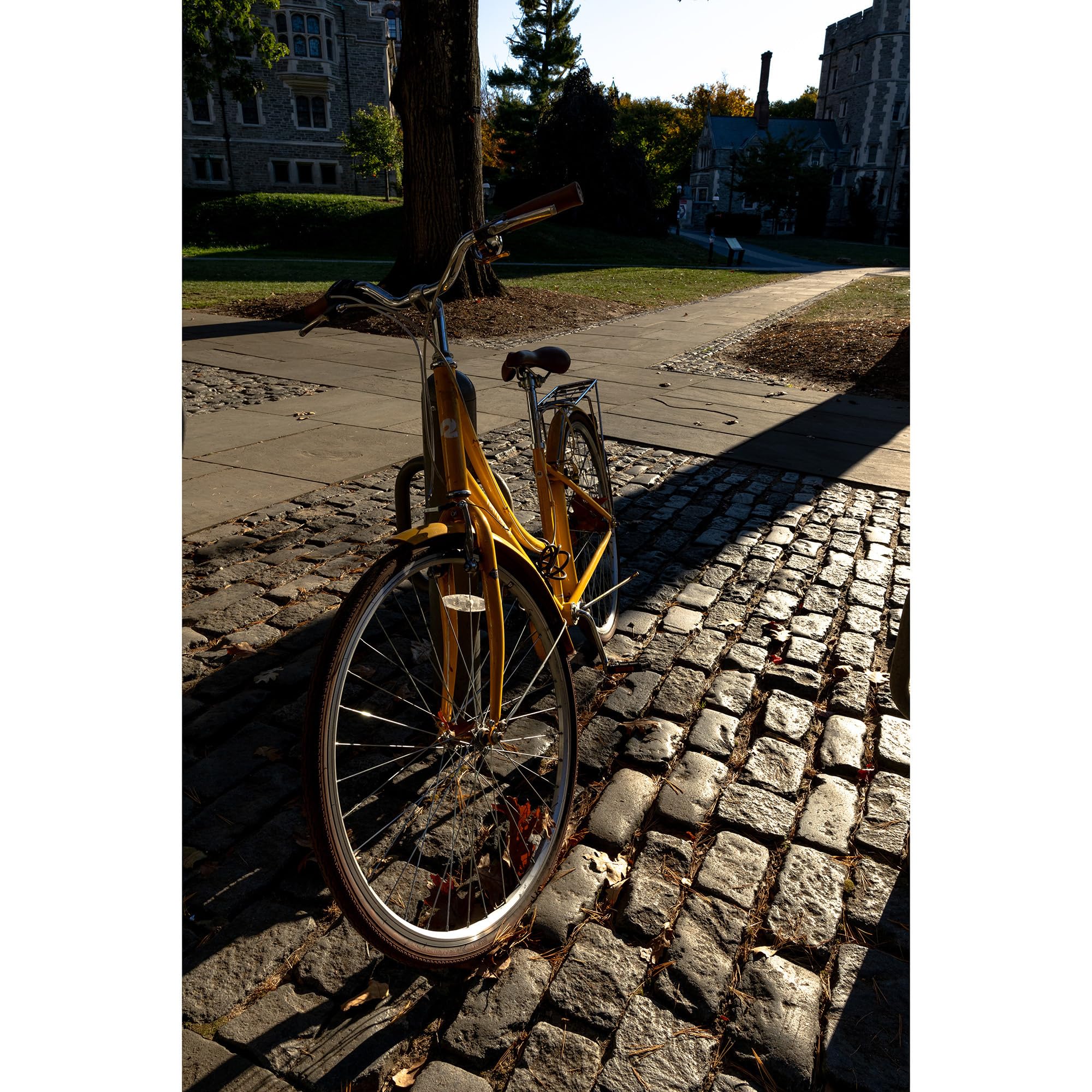 Sigma - Obiettivo 16mm f/1.4 DC DN Contemporary, attacco Canon RF