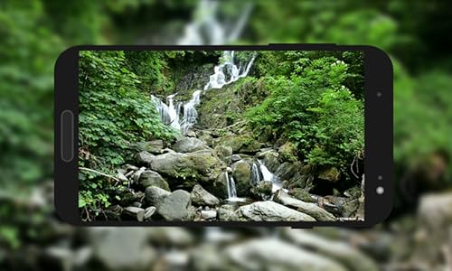 Relax Videos