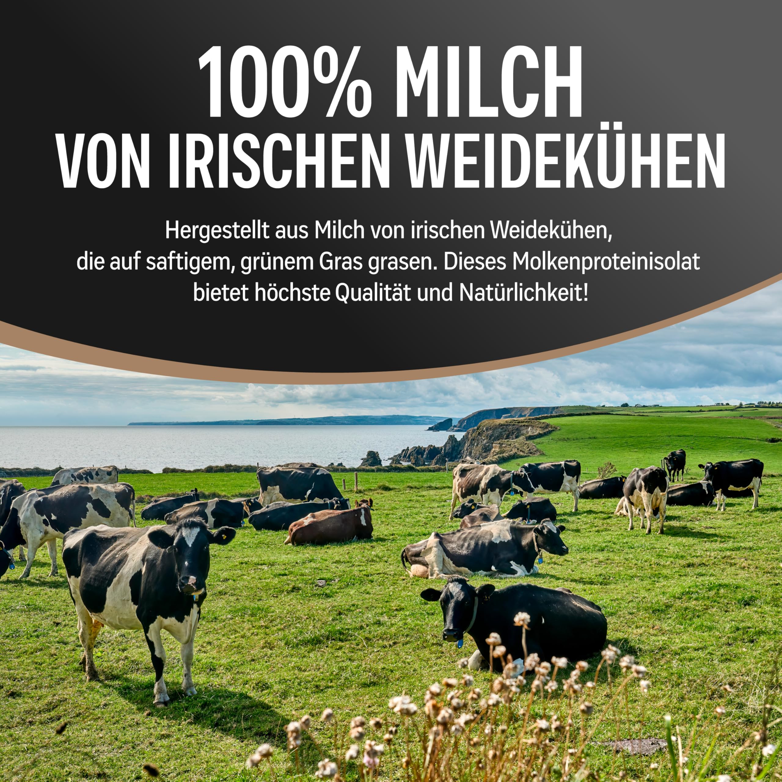 Natureletics PREMIUM WHEY ISOLAT SCHOKO, Laktosefrei, Fettarm, ohne Süßstoffe, ohne Zuckerzusatz, von grasgefütterten Kühen aus natürlicher Weidehaltung