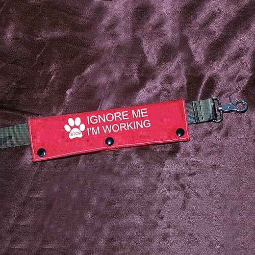 Miniatura 10 de Divertida correa para perro que trabaja con etiqueta de parche de identificación para colgar con etiqueta de parche de identificación para perro de