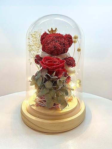 Rosa preservada real con oso de peluche y flores en cúpula de cristal con luces LED, regalos para ella, regalo del día de San Valentín, aniversario,