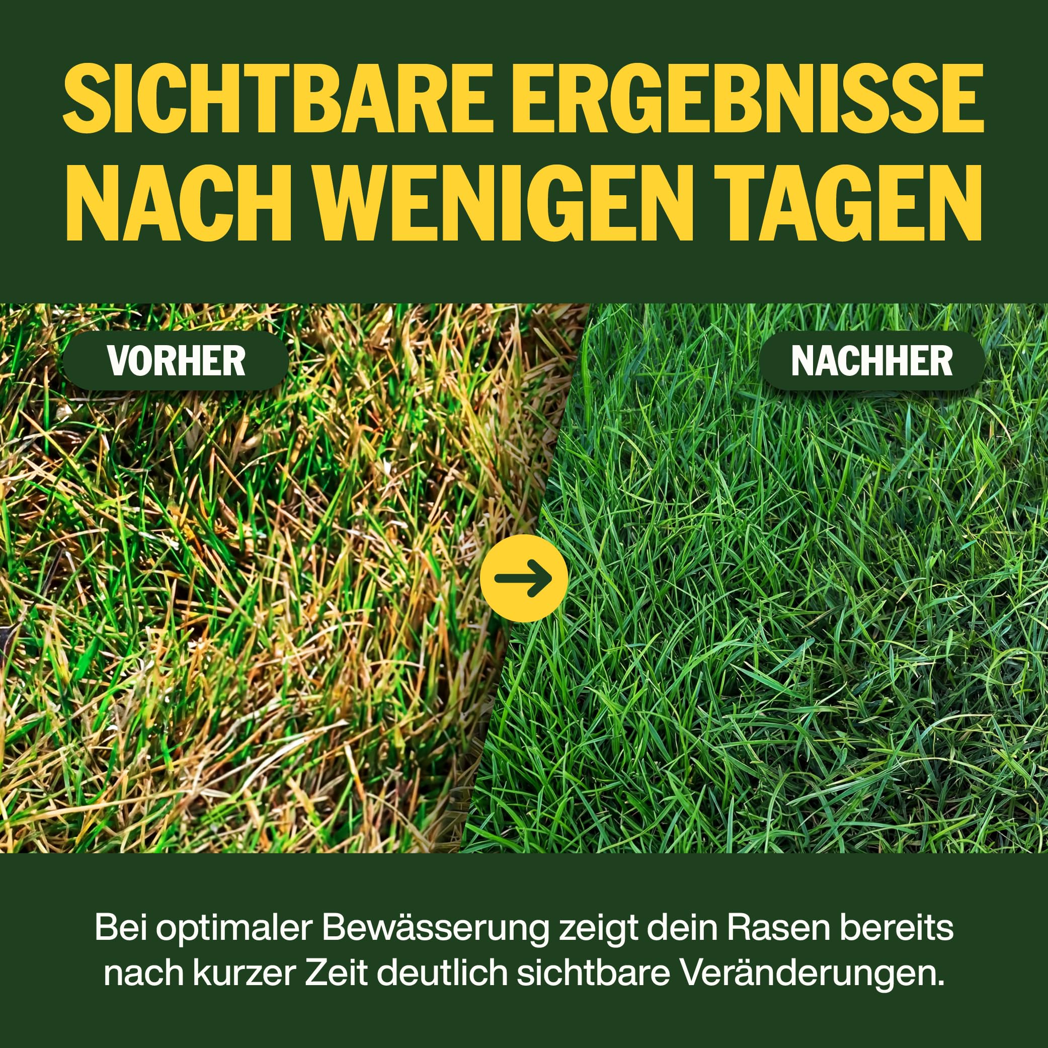 SUPERGREEN Rasendünger Langzeit bis 100 Tage | 5kg | NPK 18-6-10 für schnellen, sattgrünen, dichten Rasen | Nitratfrei & staubfreies Granulat (2-5 mm) | Premium Qualität