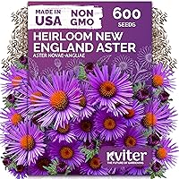 Vista 26 de KVITER 25 semillas de algodón blanco para plantar (Gossypium hirsutum) – Planta de algodón real, semillas de algodón para cultivo, semillas