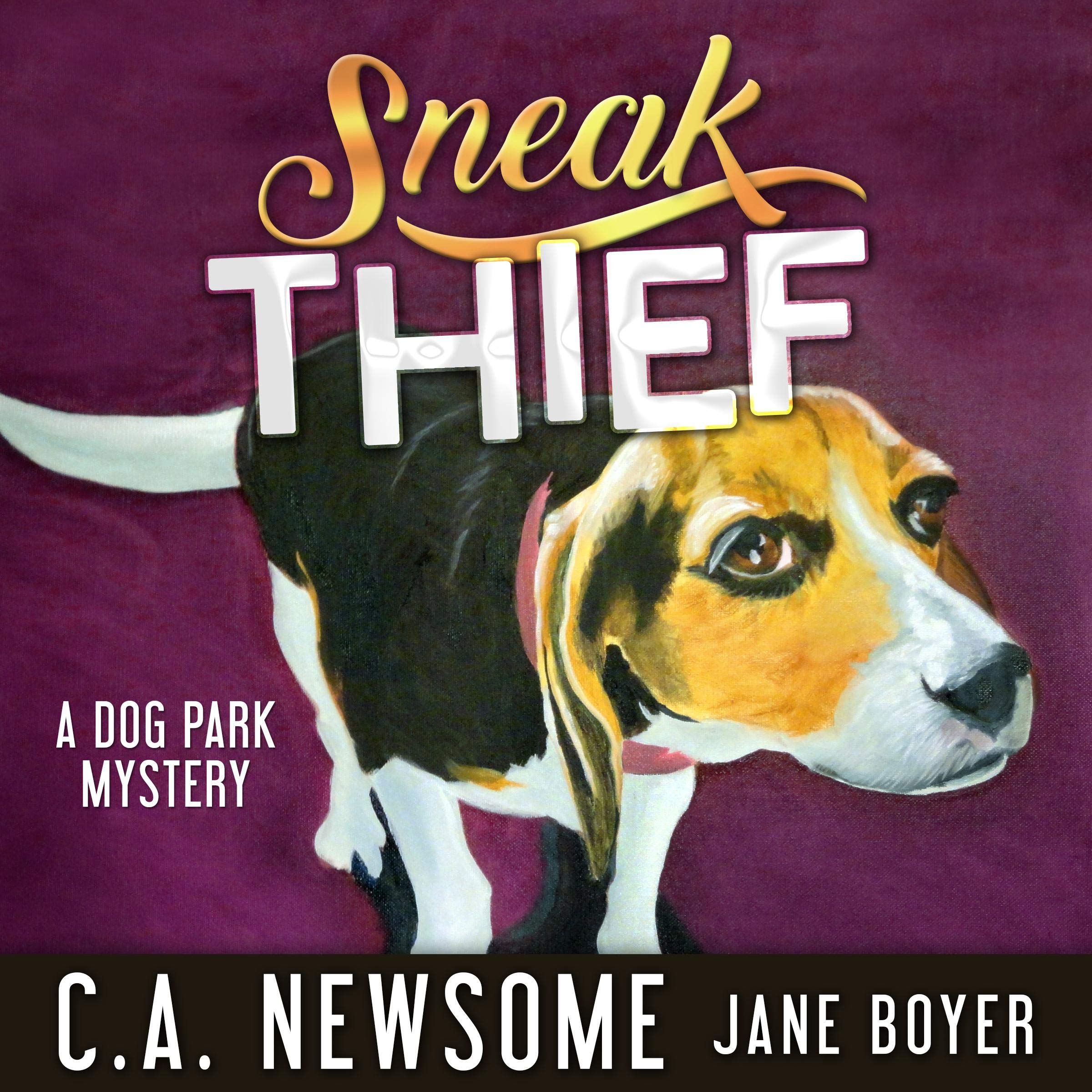 Sneak Thief: A Dog Park Mystery