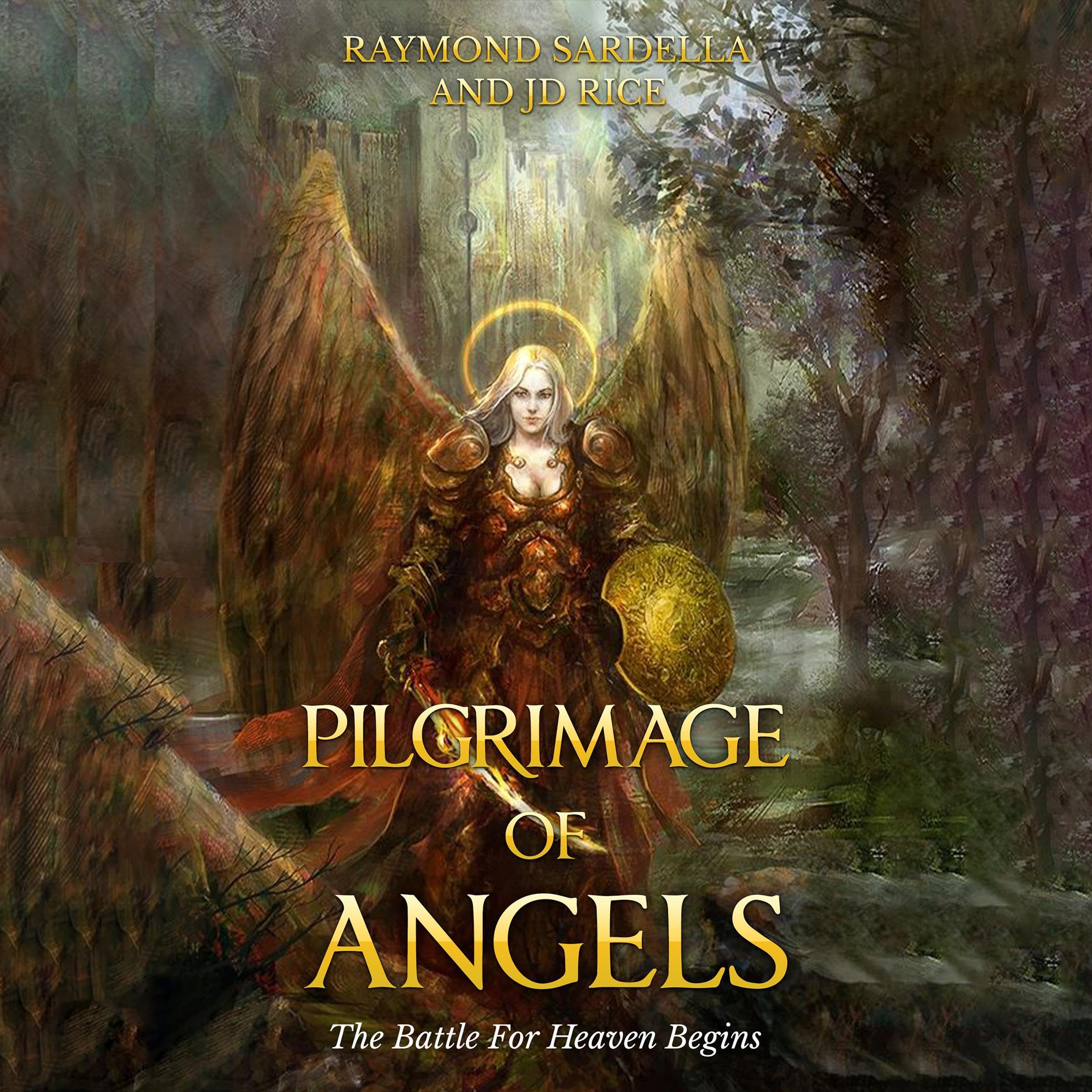 Cover art for Pilgrimage of Angels: The Battle for Heaven Begins