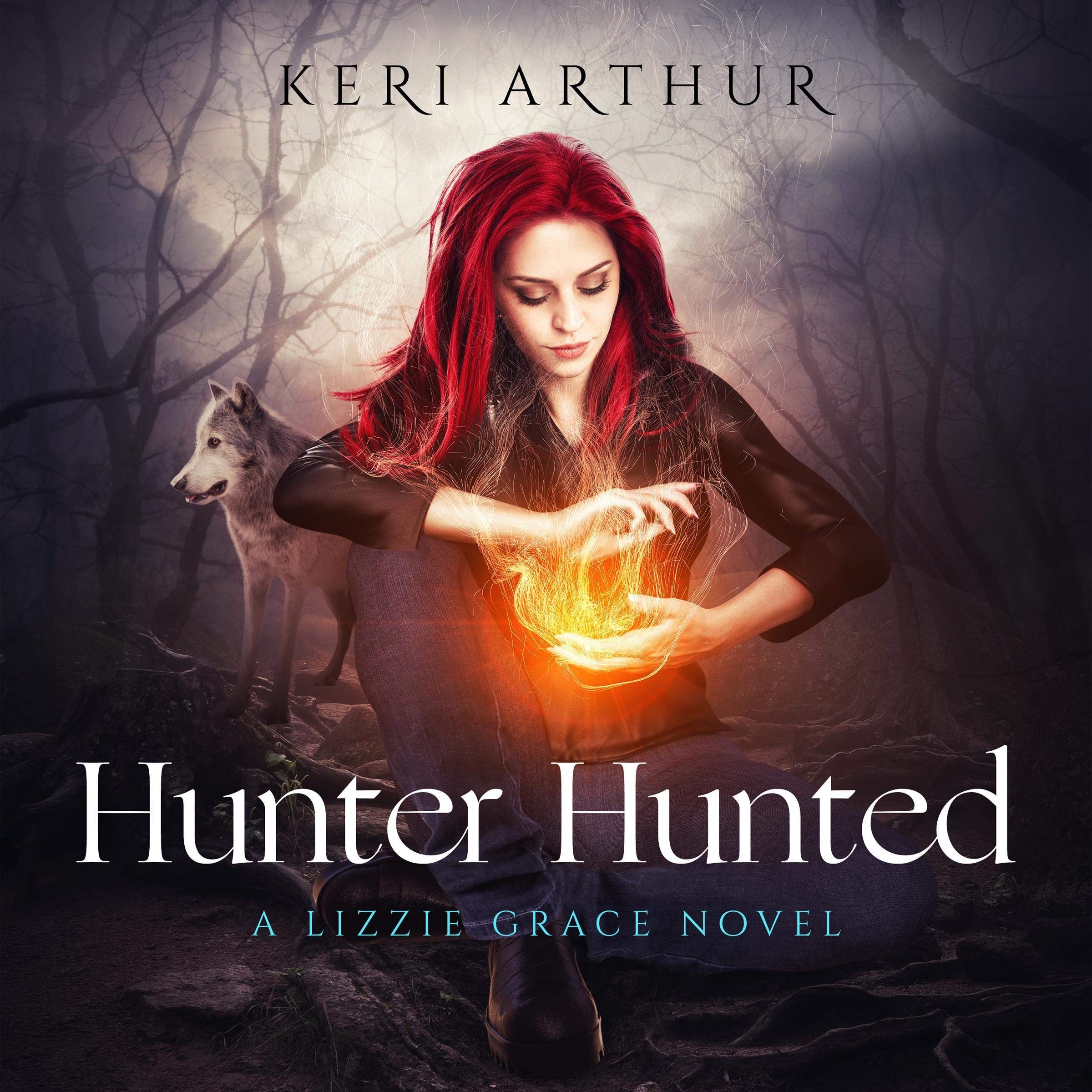Cover art for Hunter Hunted