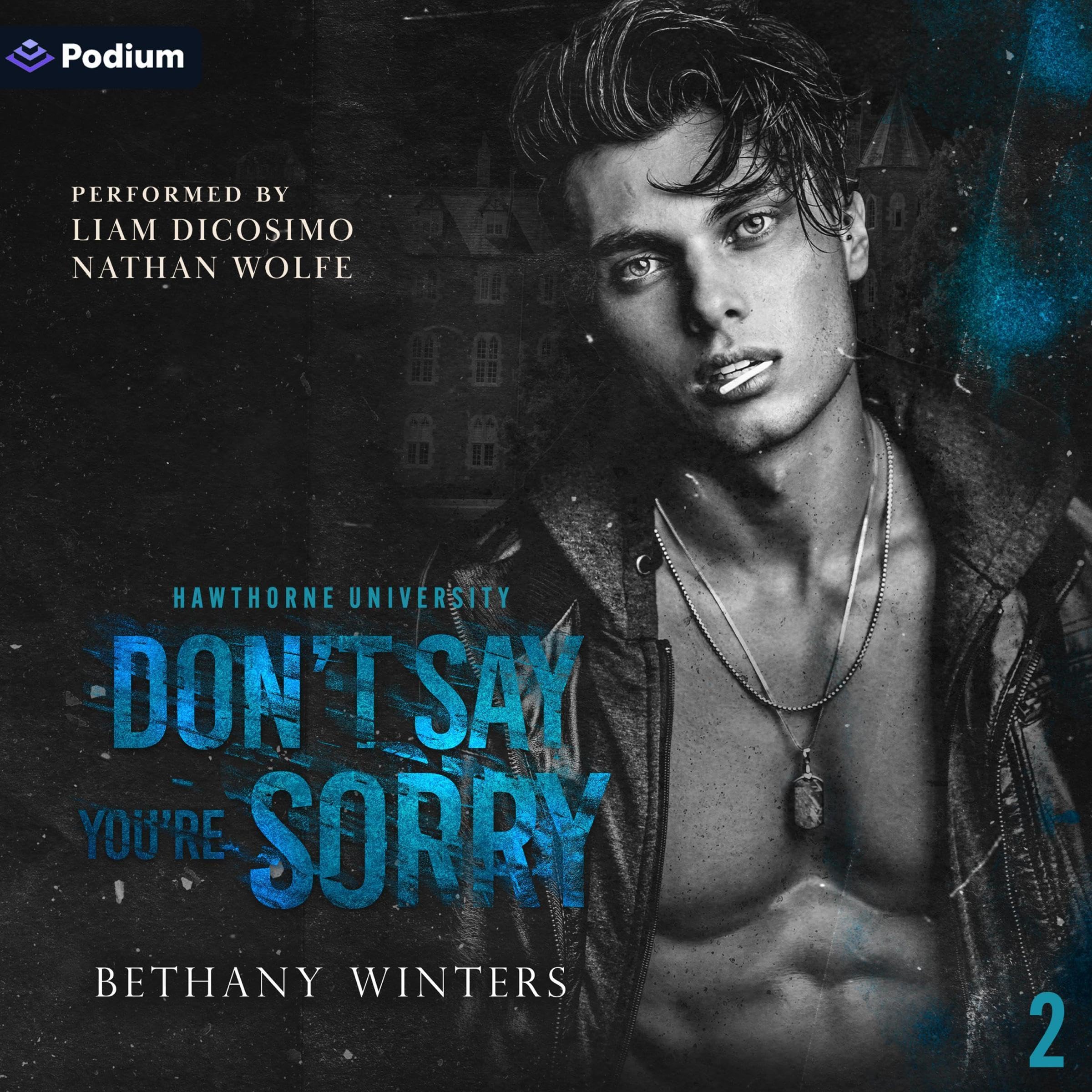 Cover art for Don't Say You're Sorry