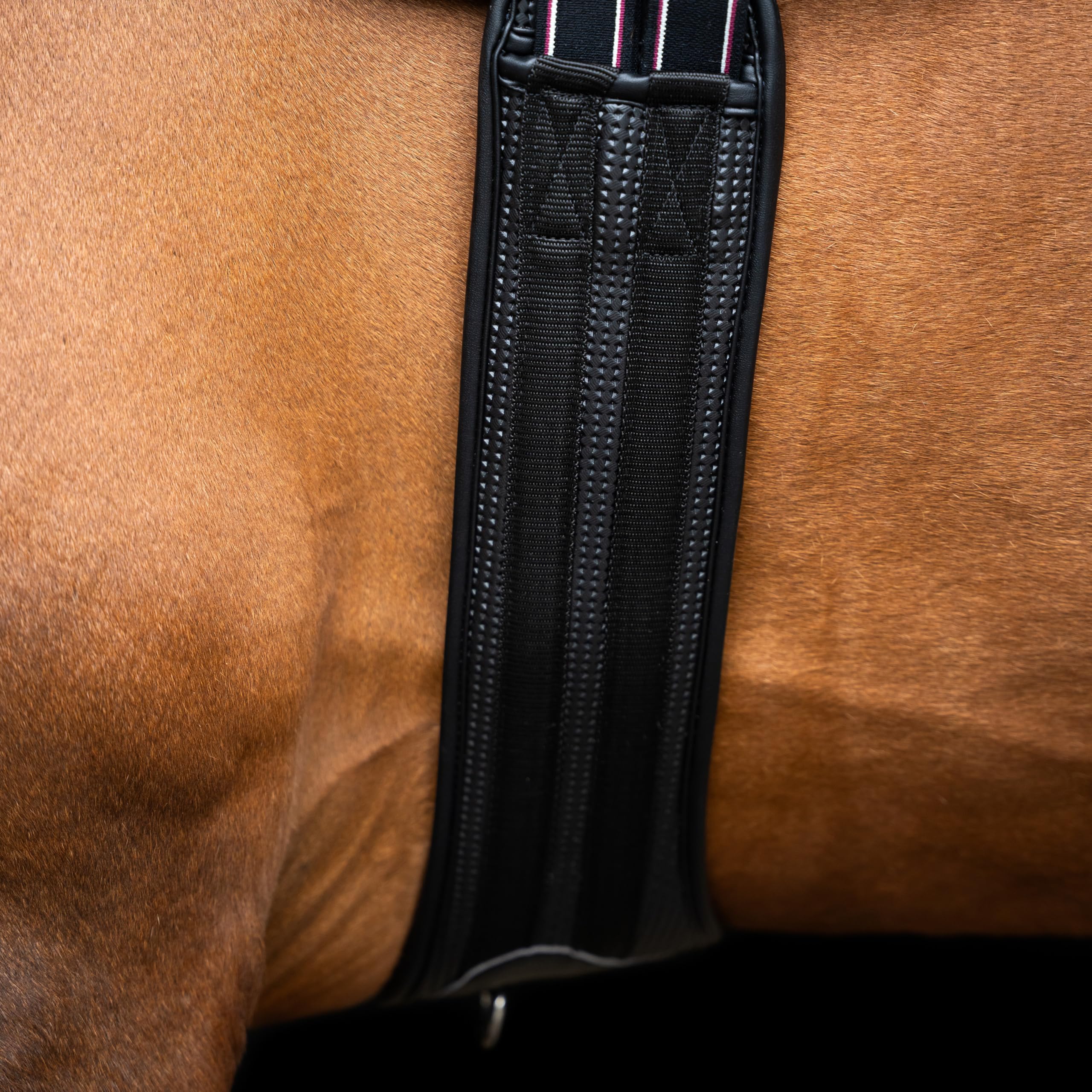 Imperial Riding Springgurt IRHBasic, anatomischer Stollengurt mit atmungsaktiver Polsterung und Bauchlatz, Schwarz, 105cm