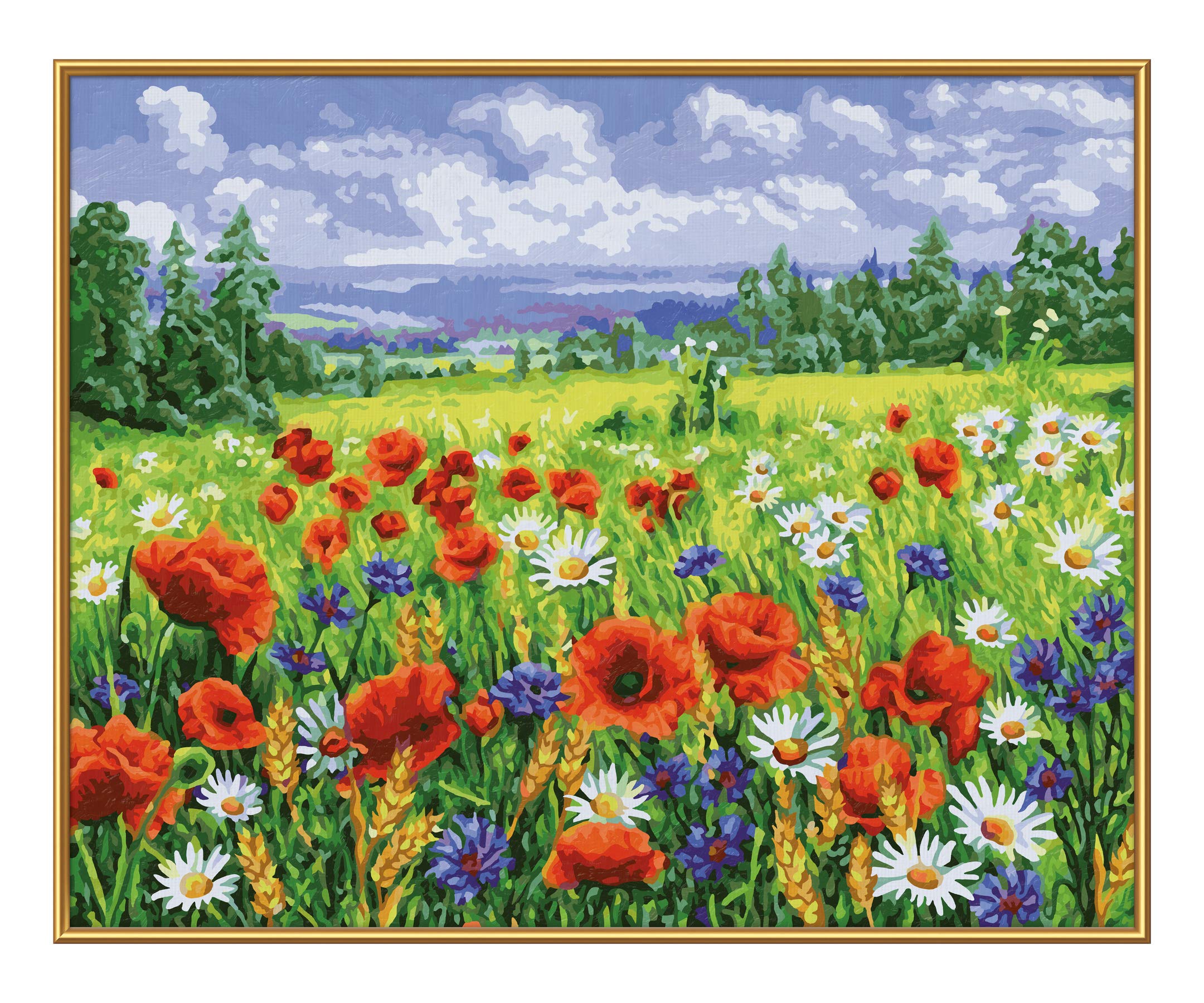 Schipper 609130824 - Dipingere con i Numeri, Prato Floreale, per Adulti, con pennelli e Colori acrilici, 40 x 50 cm