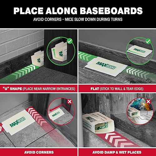 Miniatura 7 de Catchmaster Max-Catch - Trampa de pegamento para ratones e insectos, 72 unidades, trampas para ratones interiores para el hogar, bandeja adhesiva