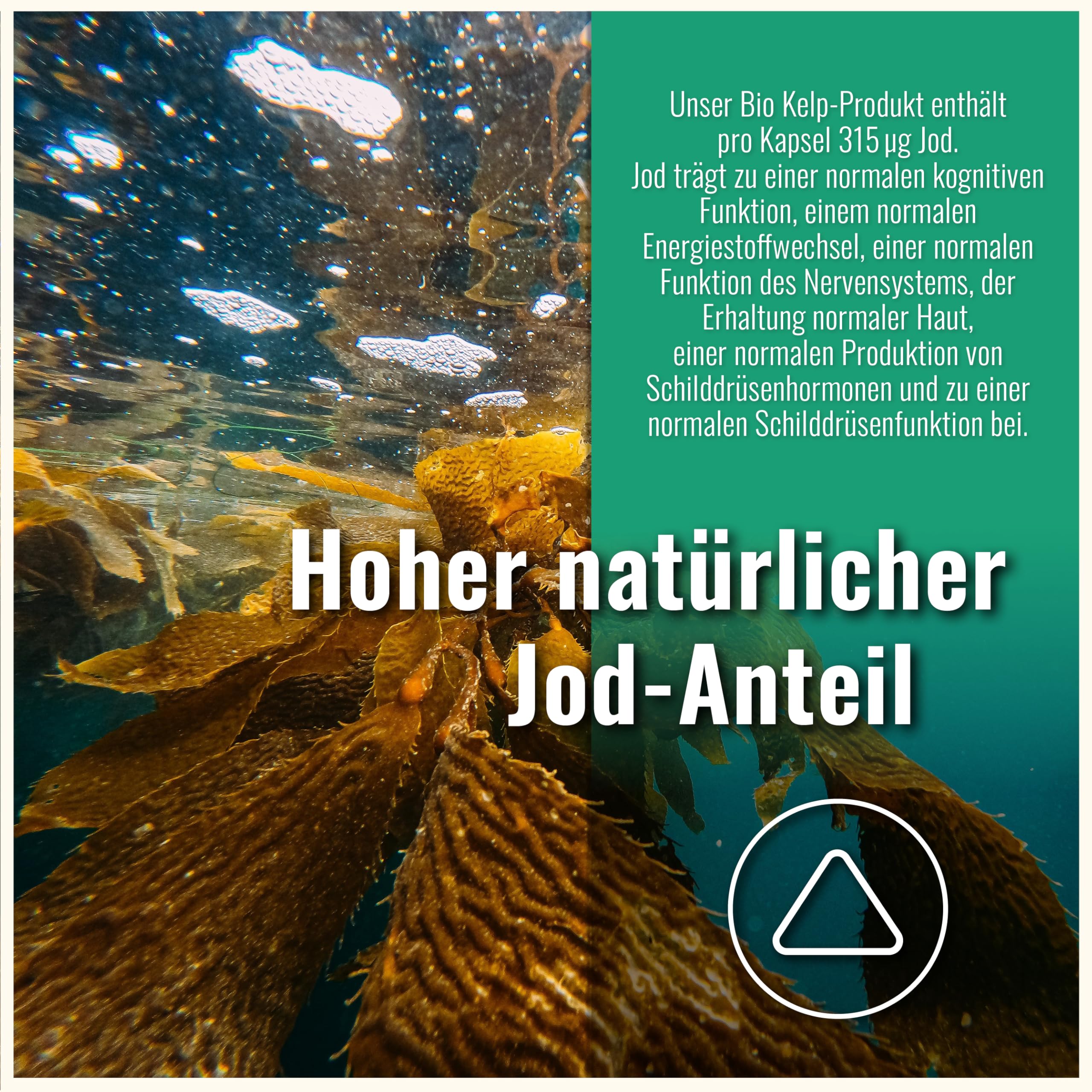Kelp Kapseln – Natürliches Jod aus Braunalgen – Bio, Vegan – 250 Stück