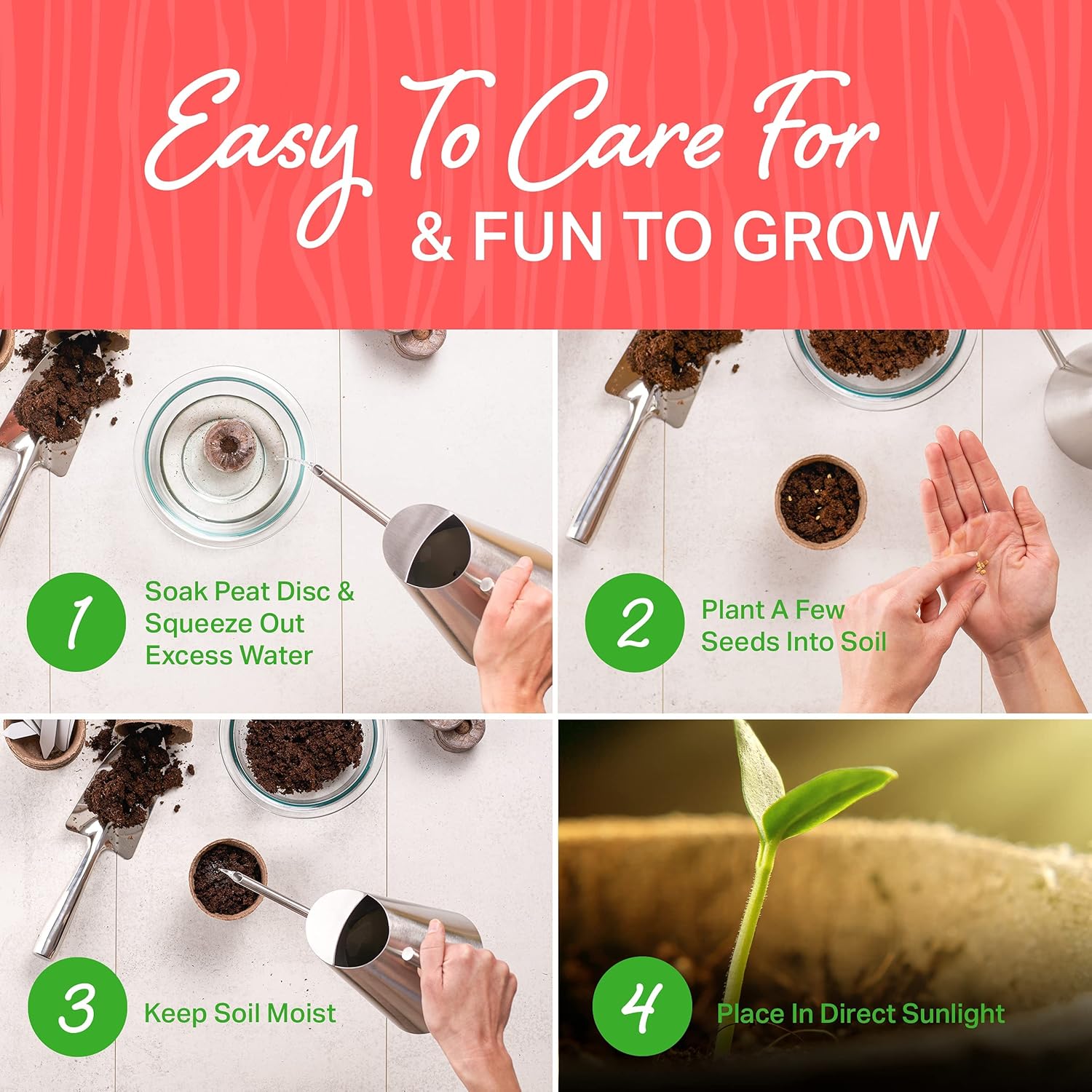 Plant Theatre Bonsai Tree Kit - Indoor Plant Growing Kit w/ 3 Mini Bonsai Seed Packs, 6 Pots, 6 Peat Discs and 6 Propagator Bags - Gardening Gifts for Men, Women and Room Decor - Crafts for Adults : Patio, Lawn & Garden