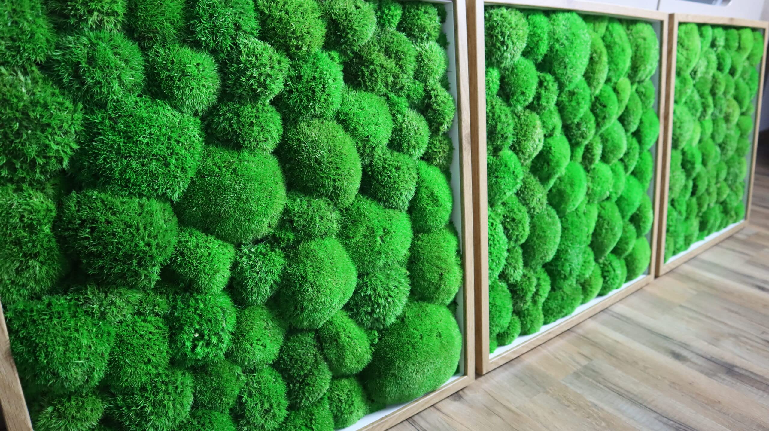 Hello Moss Moosbild - Rahmen mit Moos - Bilderrahmen mit Kugelmoos, Polstermoos - Moosbilder für Ihr Haus - verschiedene Großen - Handgefertigt Mooswand - Einzigartige Wanddeko (Weiß, 25x25cm)