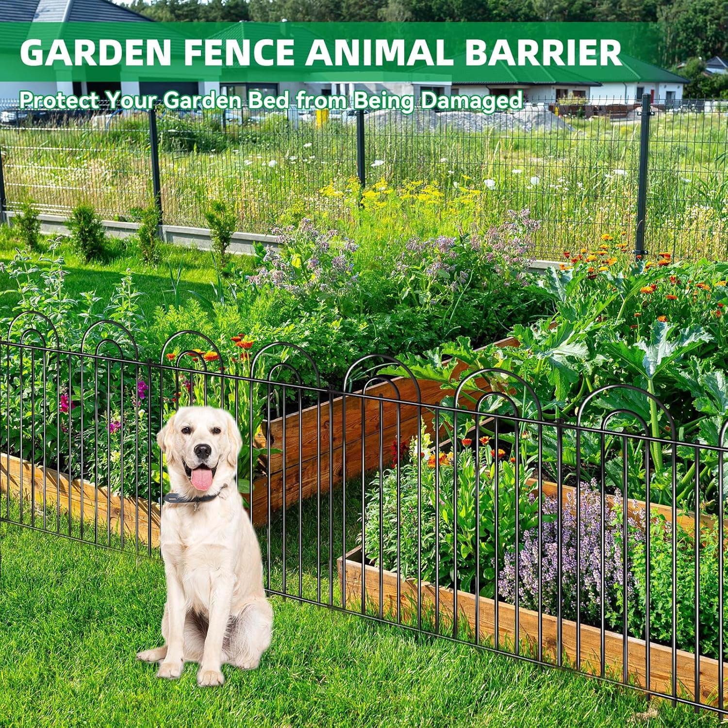 25 Panels No Dig Decorative Garden Fence, 24in(H) X 50ft(L) Tall Dog Fence Outdoor for Yard, Rustproof Metal Wire Garden Fencing Animal Barrier with Ground Stakes, Temporary Fencing for Patio Outdoor