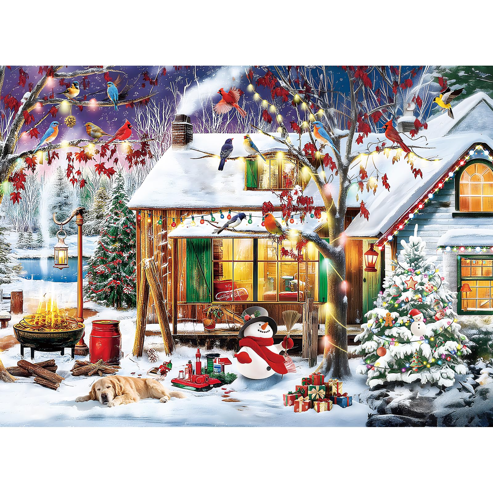 Amazon.com: ZSYCZAO Christmas 300 Piece Puzzles for Adults, 300
