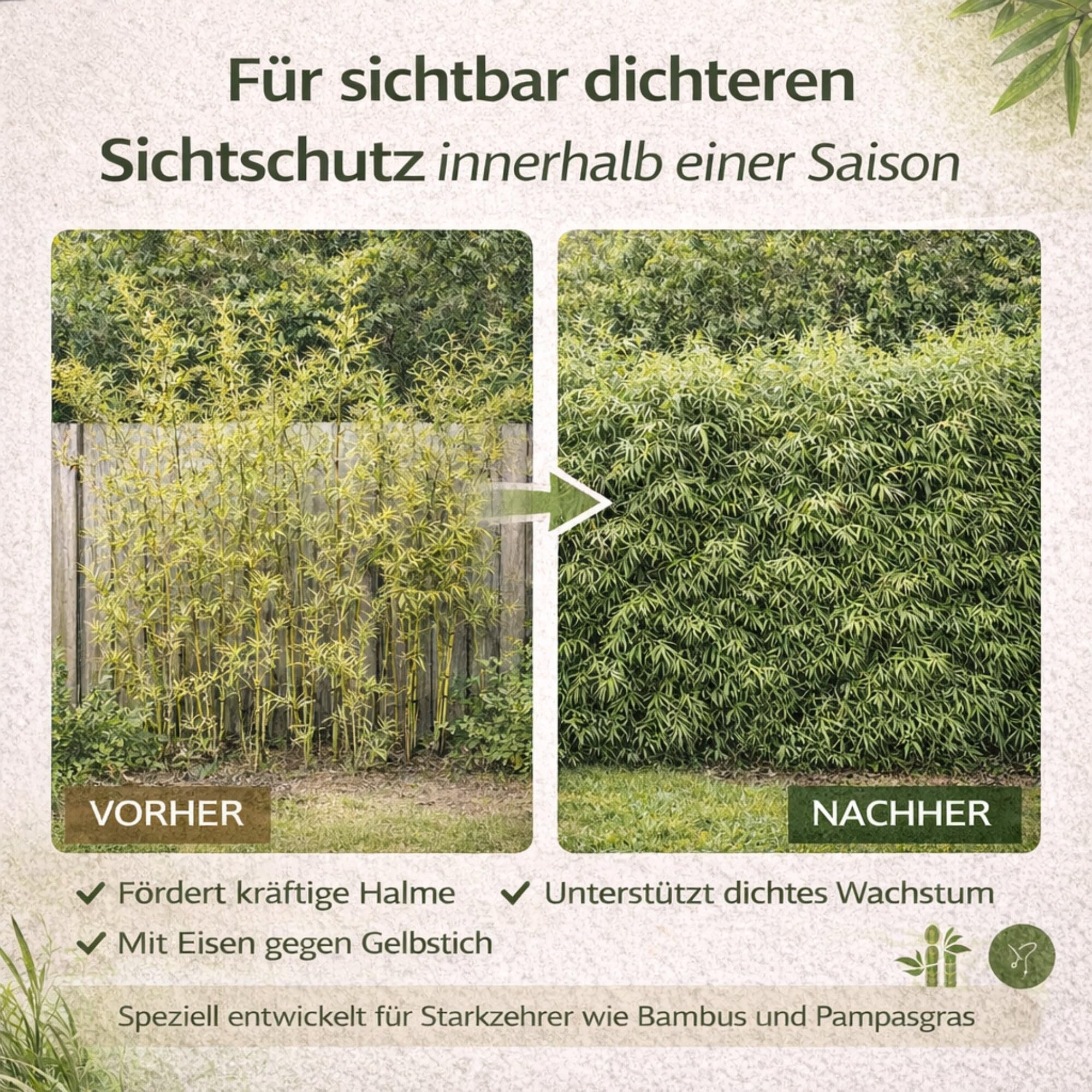 Bambusdünger für sichtbar dichteren Sichtschutz – auch für Ziergräser – 7-3-8 + Eisen, 3 Monate Langzeitwirkung – 20 Kg