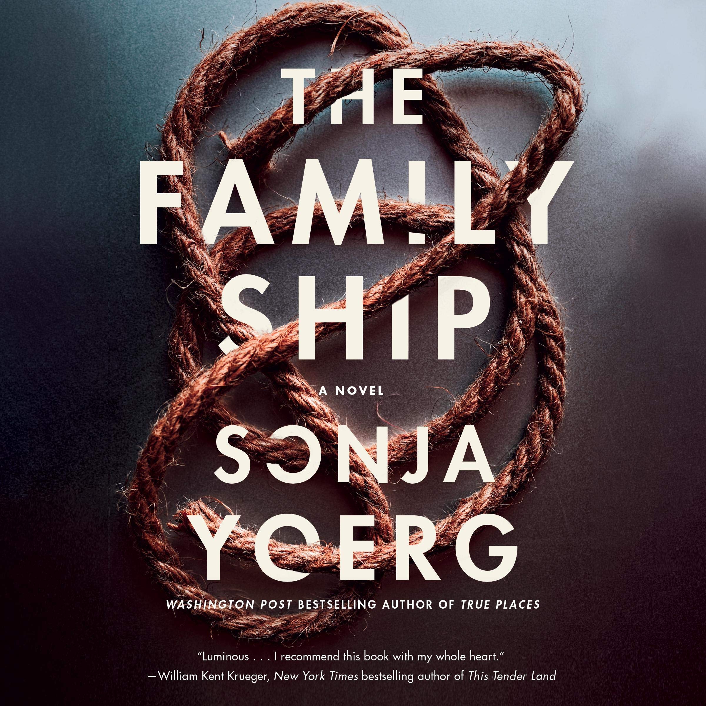 Cover art for The Family Ship