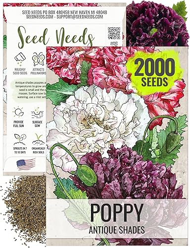 Miniatura 9 de Seed Needs, Antique Shades - Semillas de peonía y amapola  5,000 semillas de reliquia para plantar papaver paeoniflorum  Atrae mariposas y otros