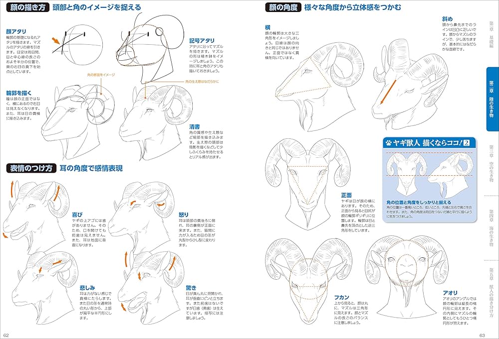 Amazon.com: How to Draw Beastman / 獣人の描き方