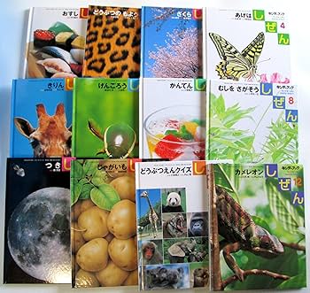 絵本セット 19冊 Amazon.co.jp: キンダーブック しぜん 絵本セット 各種 (絵本