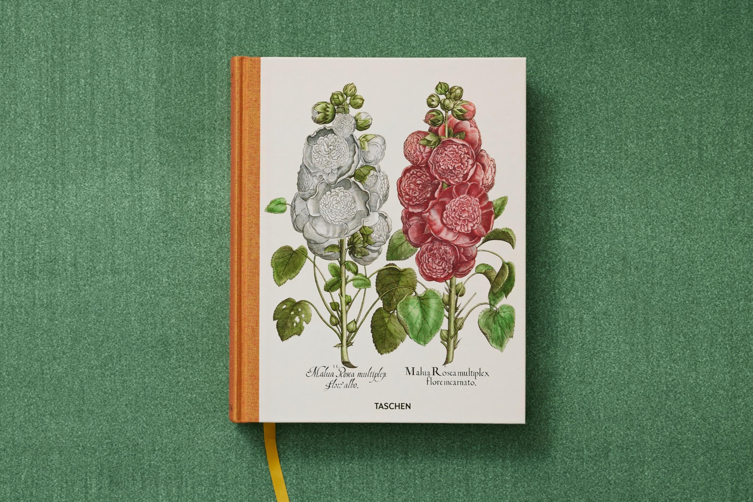 Basilius Besler: The Garden at Eichstätt: 1-3