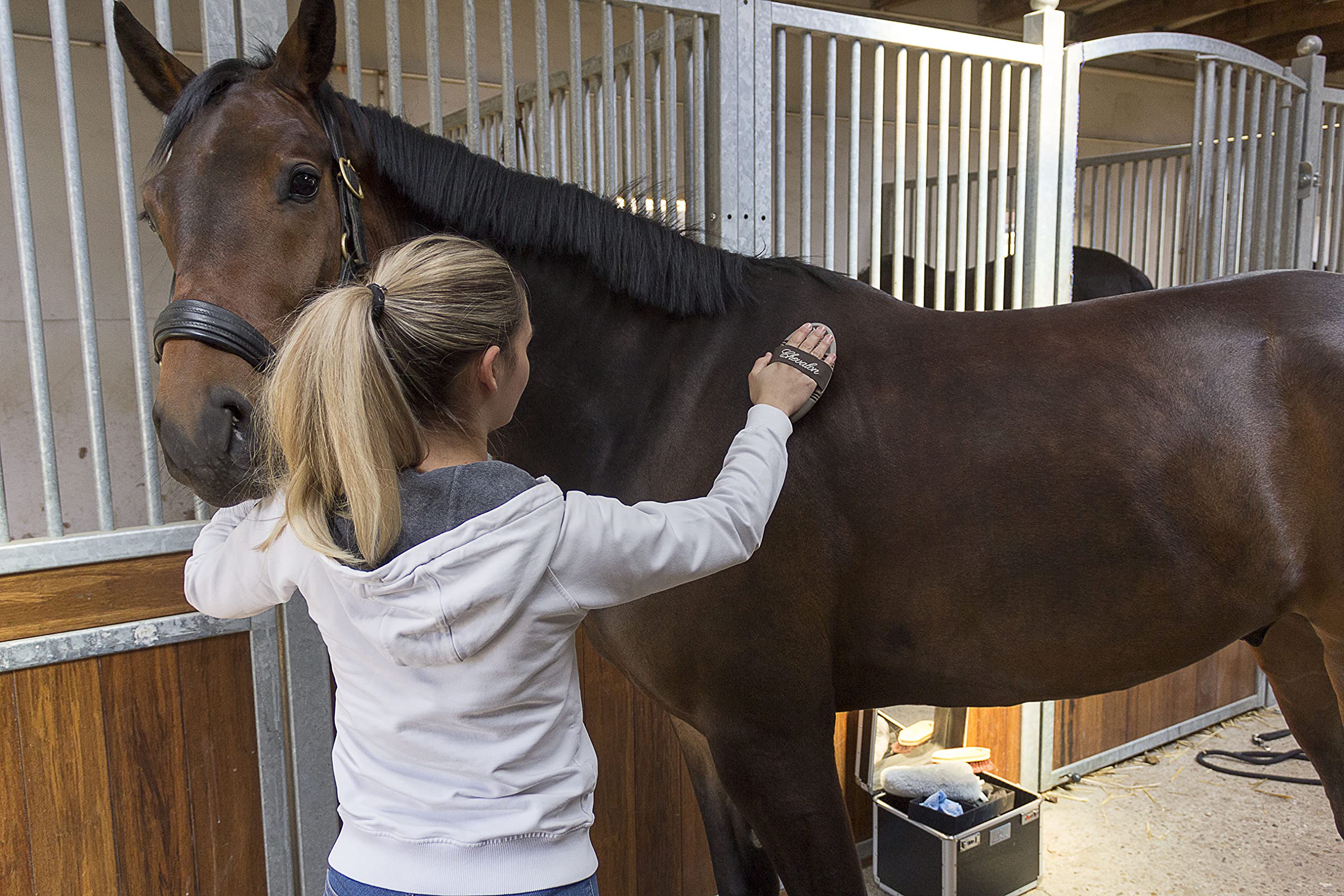 Chevalon Set de Limpieza para Caballos - Cardaje Flexible, Cepillo de Masaje y Rascador para Pezuñas con Púa de Acero Inoxidable