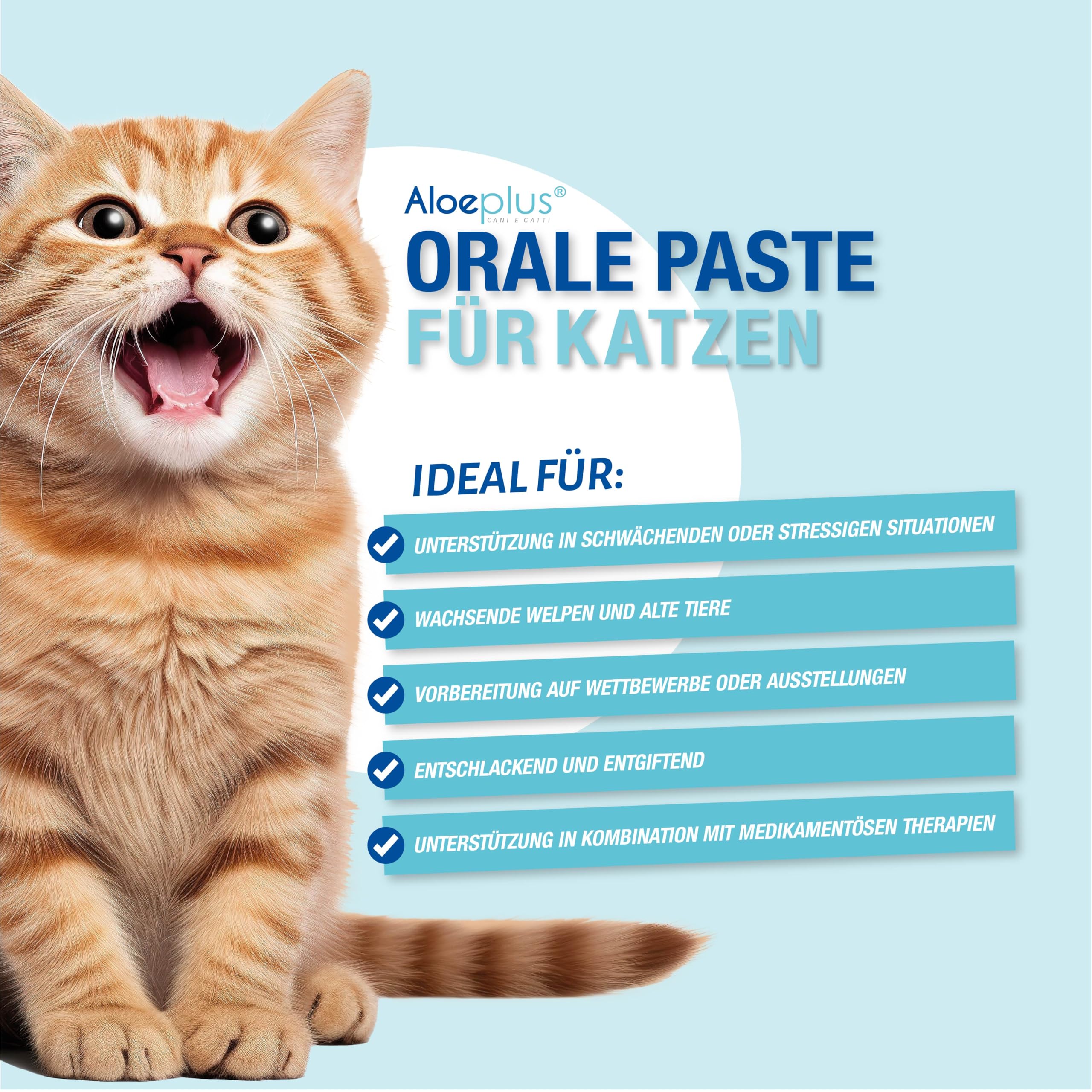 ALOEPLUS - aloeplus katze aloe plus pasta orale katze energie paste katze -  Oralpaste 15 ml mit Bio Aloe Arborescens - ergnzungsfutter fr katzen :  Amazon.de: Haustier