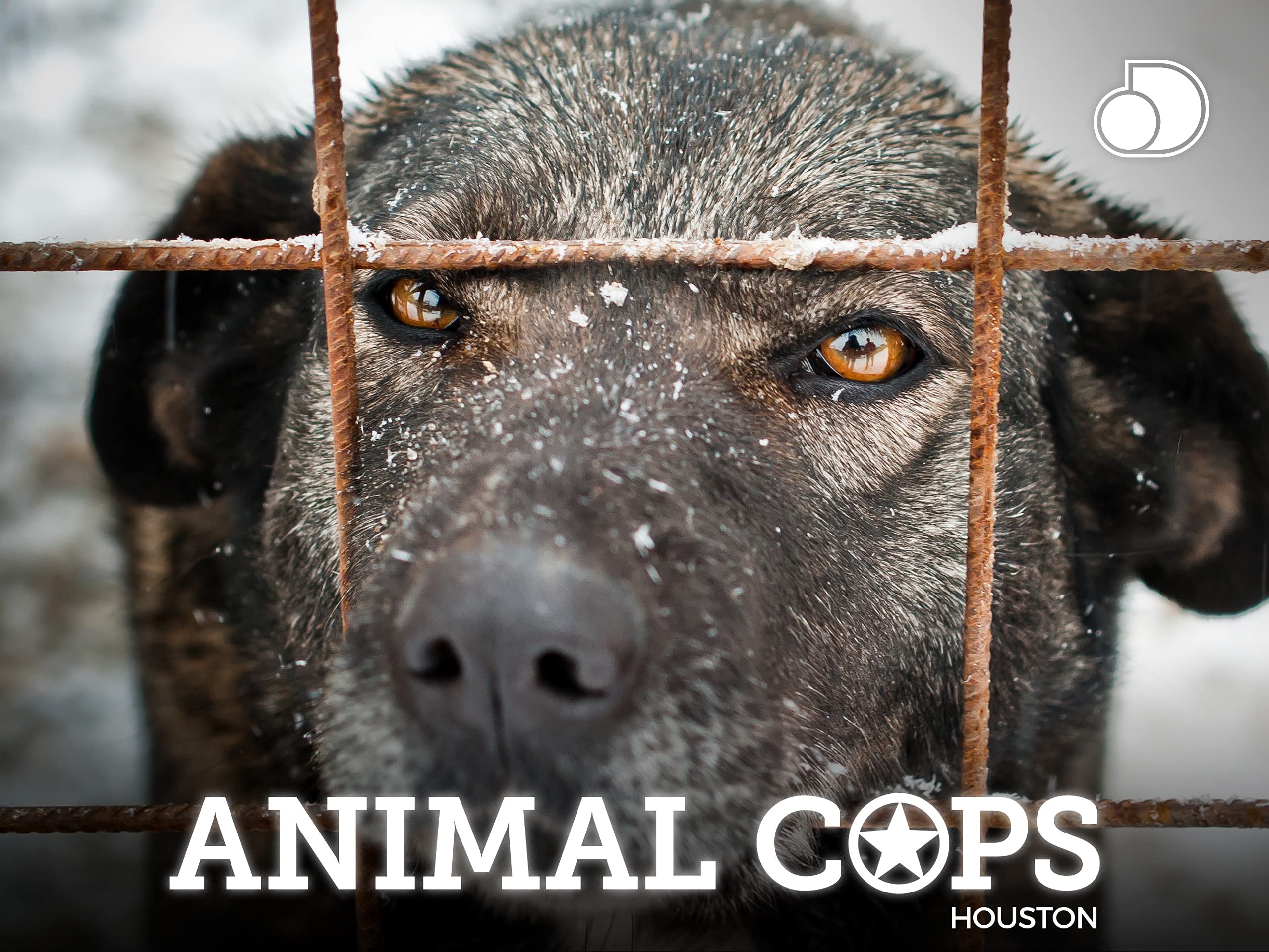 Watch Animal Cops Houston Season 1 Prime Video