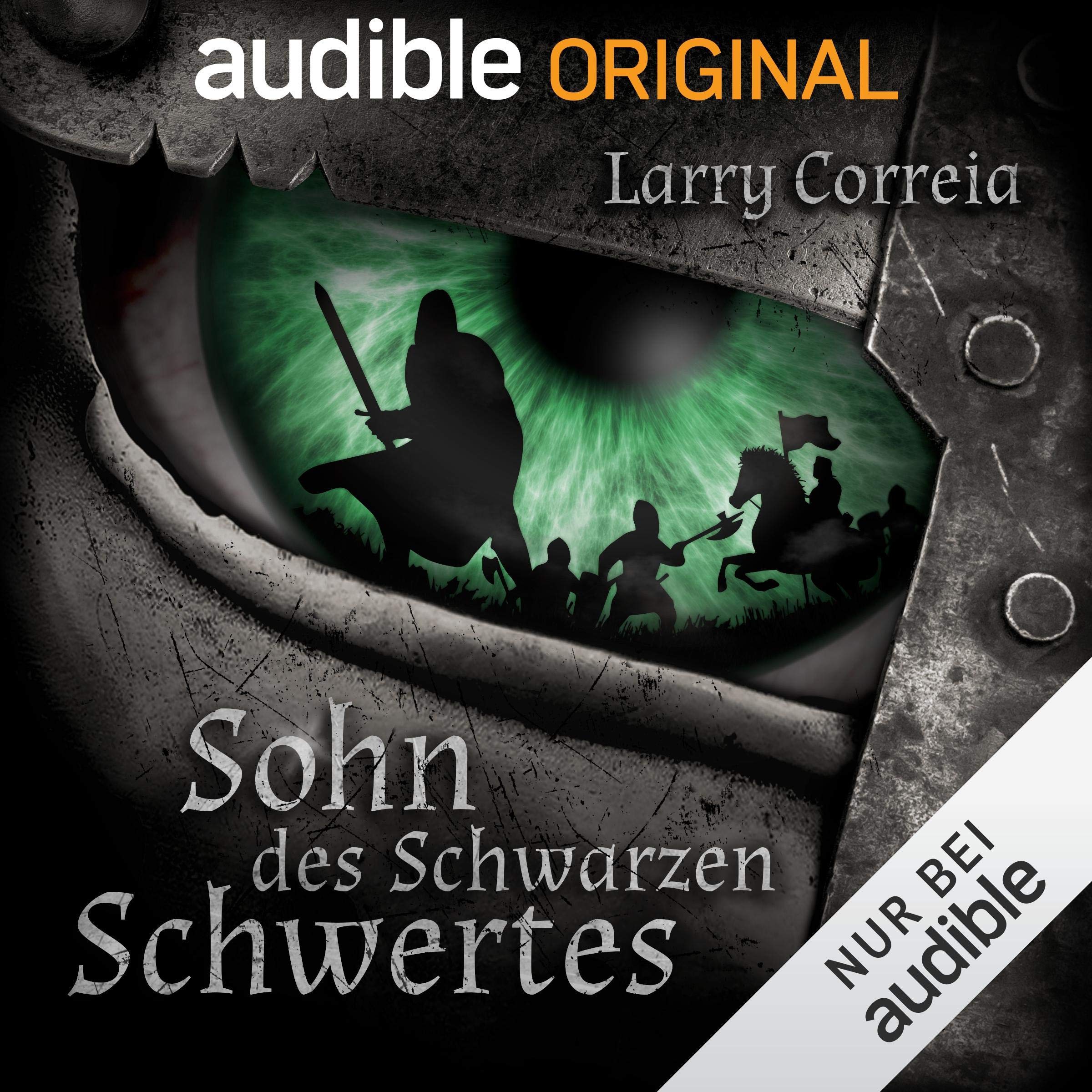Cover art for Sohn des schwarzen Schwertes
