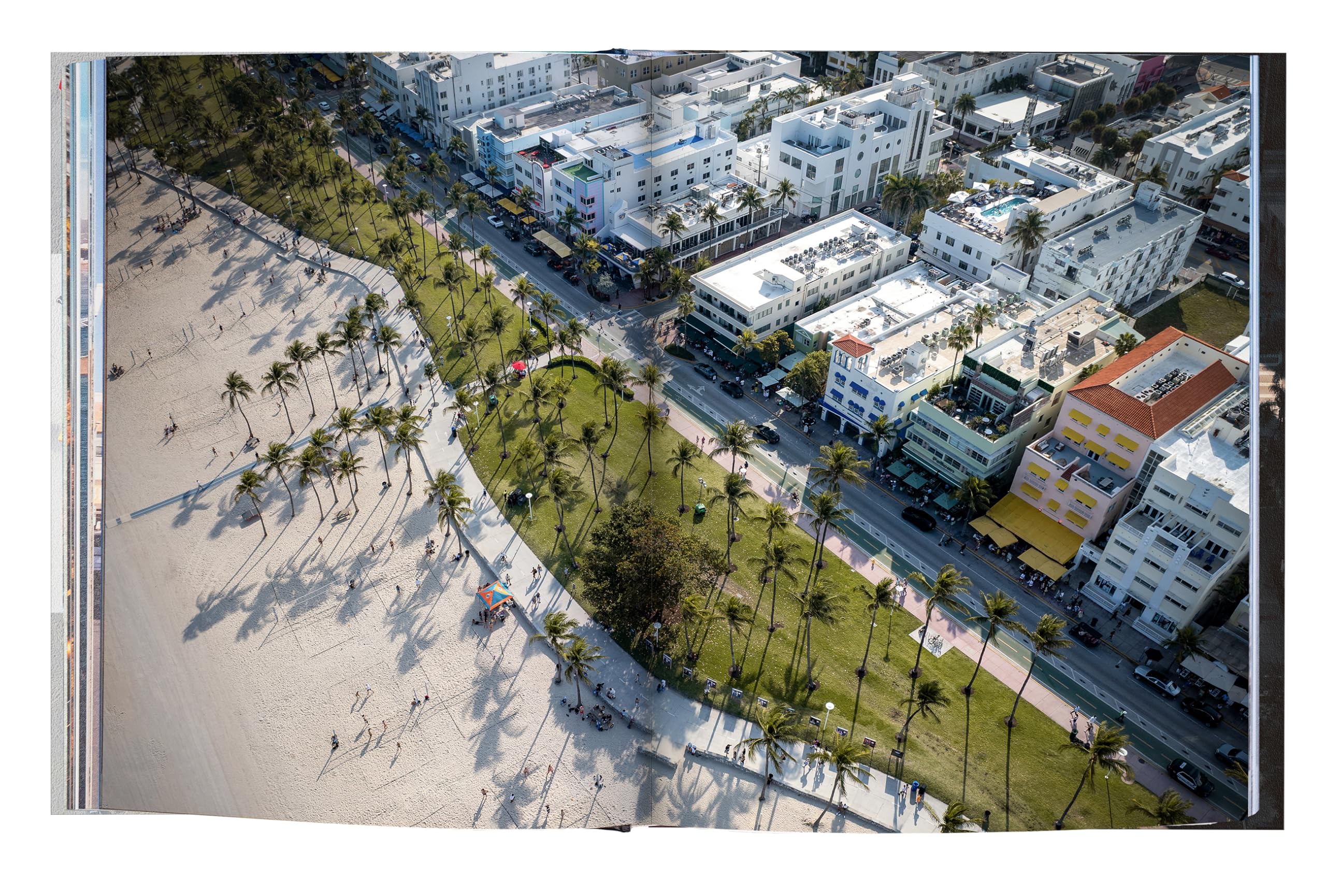 Trope Miami: 12