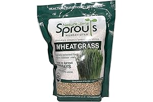 Nature Jim's Sprouts Premium Wheatgrass Seeds