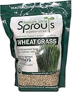 Nature Jims Sprouts Wheatgrass Seeds - 100% Organic Wheat Grass Seed for Sprouting - Cat Grass Planter Seeds, Rich in Vitamins, Fiber and Minerals - Non-GMO, Healthy Wheatgrass Sprout Growing Seed