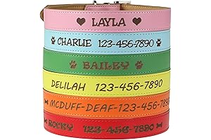 Personalized Dog Collar with Name: Custom Catch's Engraved Leather Collar