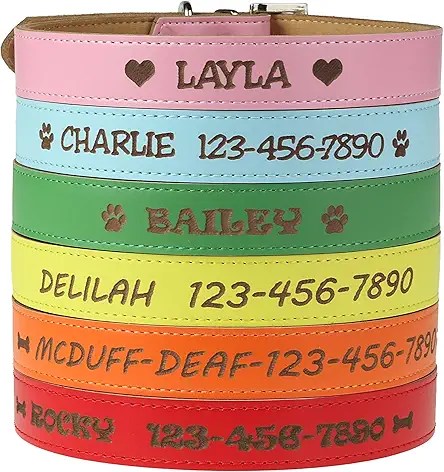 **Custom Catch Personalized Dog Collar - Engraved Leather in Various Sizes, No Pet Tags Needed**