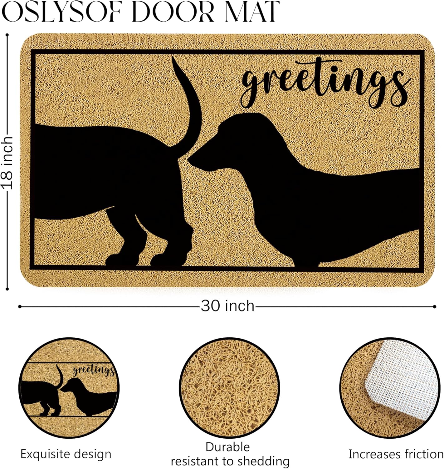 Funny Dachshund Dog Door Mat, Funny Greeting Dachshund Doormat for Front Door Indoor Outdoor Porch Entrance Entryway, Dachshund Weiner Dog Welcome Mat Outside, 17x30 Inches