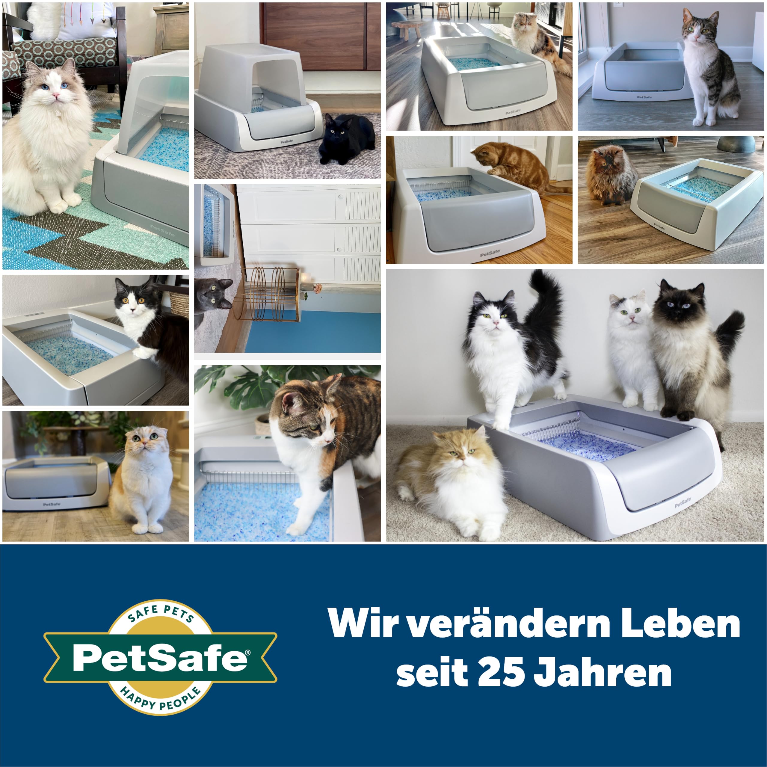 PetSafe ScoopFree Premium Nicht-Klumpende Kristall-Katzenstreu - Geruchskontrolle, Haftet Nicht an den Pfoten, Staubfrei - Premium Blau, 2-Pack