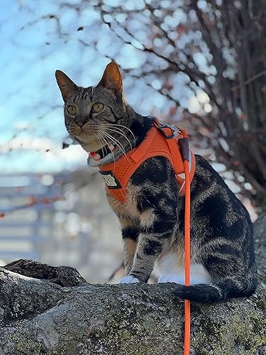 Miniatura 6 de Paseo de gatos The True Adventurer juego de arnés y correa reflectante para caminar, ligero, transpirable, ajuste cómodo, correa fuerte con clip