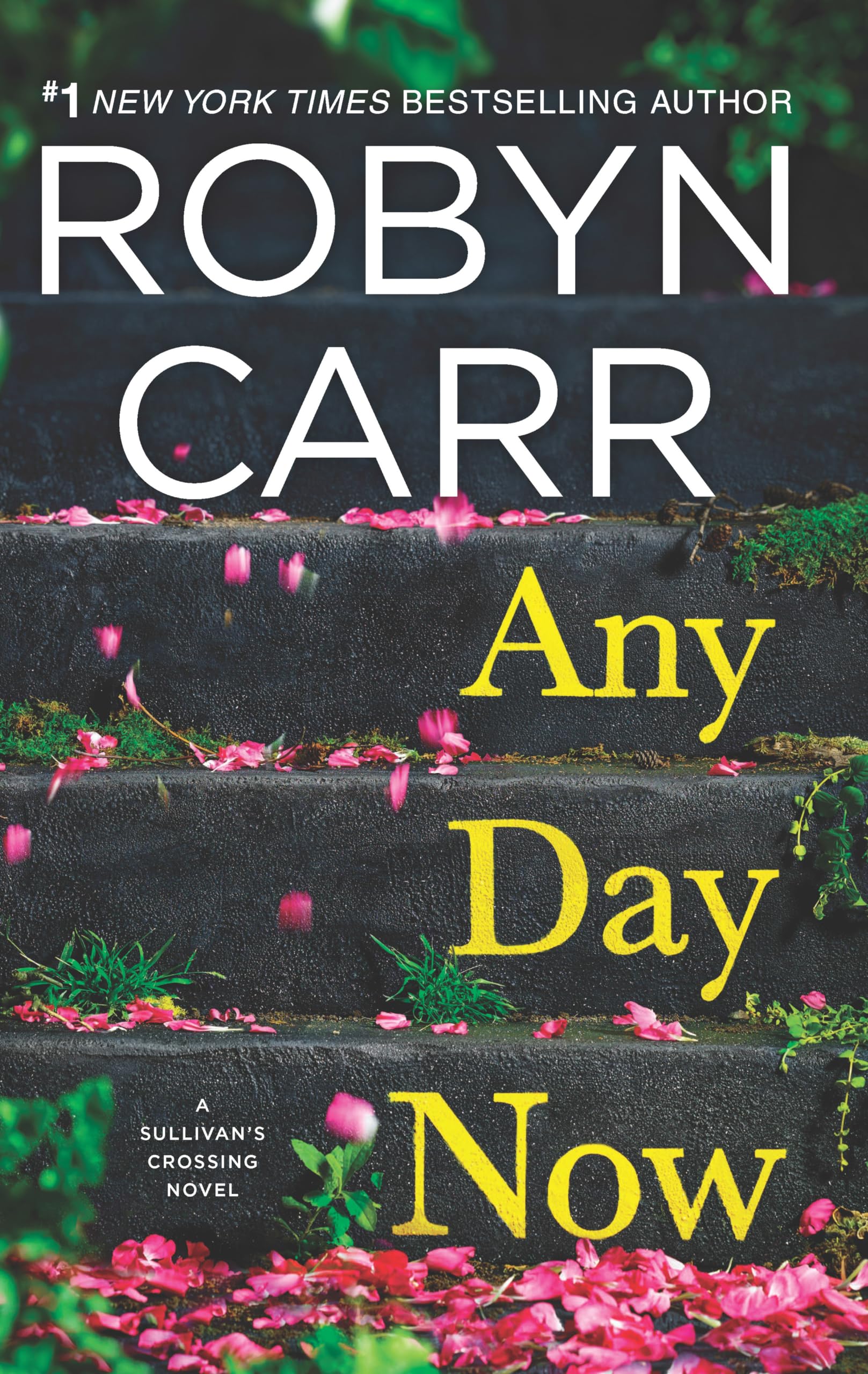 Any Day Now: A Sullivan's Crossing Novel and the Inspiration for the Hit Netflix Show � A Gripping Small Town Romance About Second Chances and New Beginnings Carr, Robyn