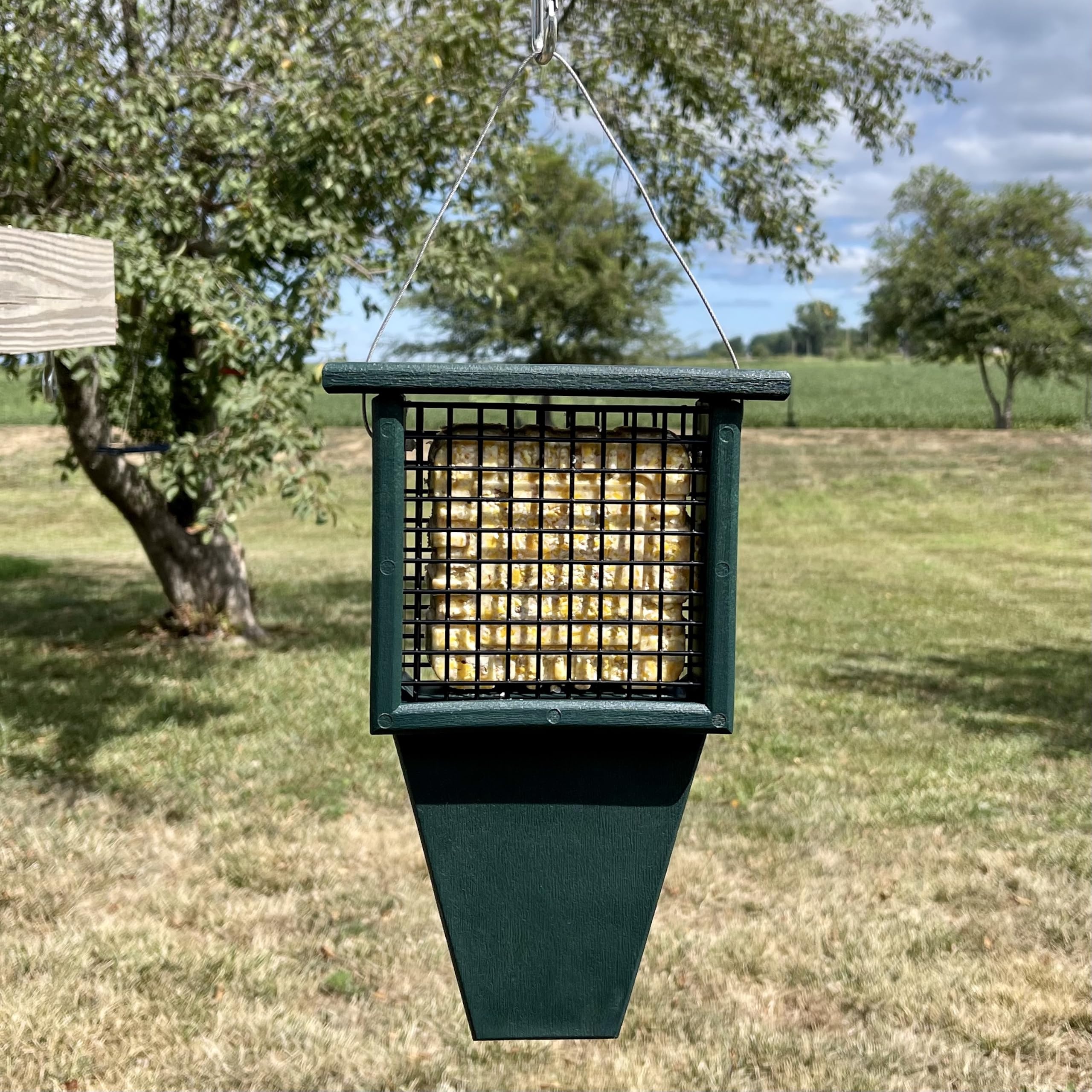 Songbird Essentials SERUBSF100H - Mangiatoia per suet con coda, 29 x 6,3 x 19 cm