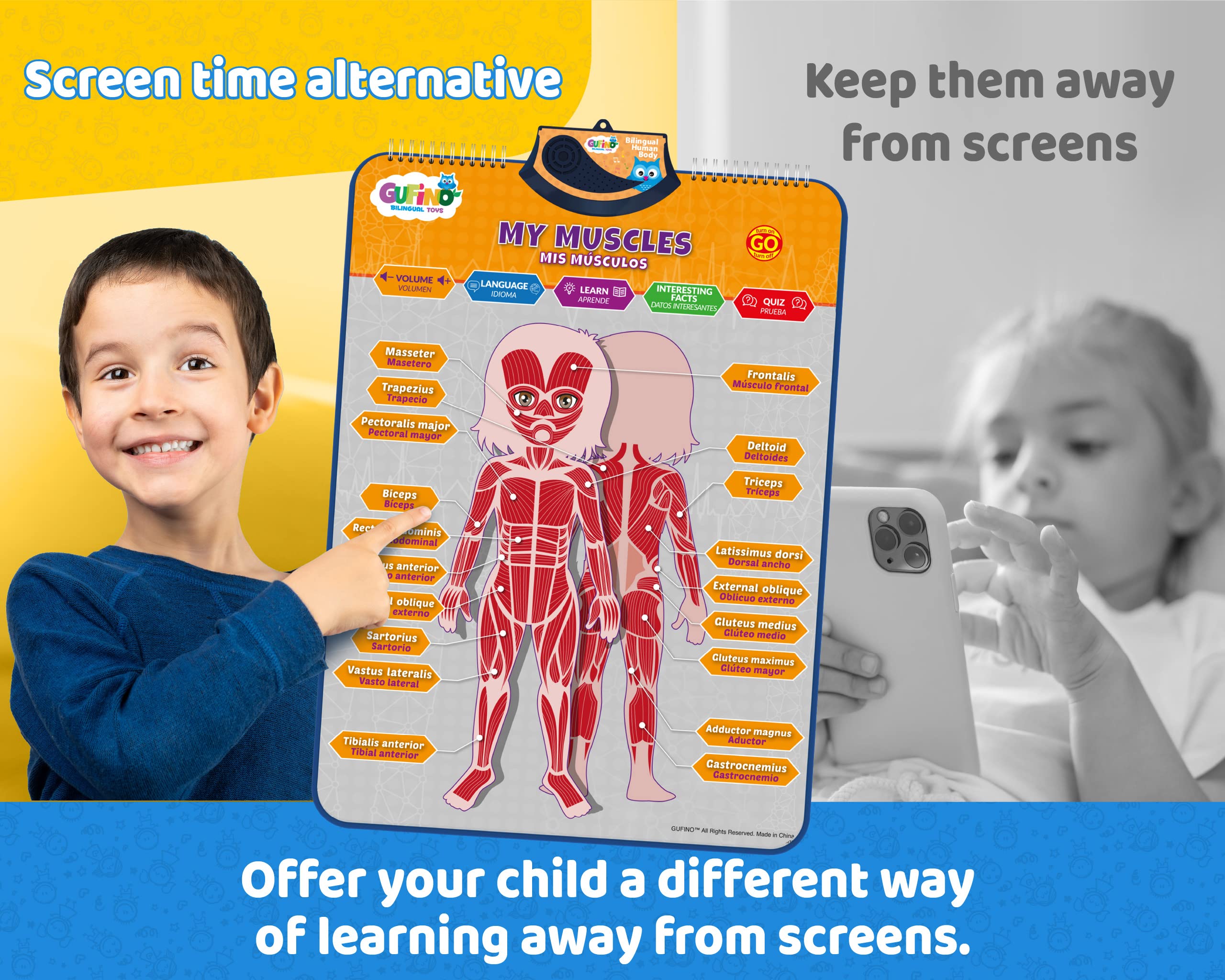 Modelo de cuerpo humano bilingüe para niños - Anatomía humana interactiva para niños con juegos y cuestionarios - Carteles educativos para aprender partes del cuerpo, huesos y órganos. Inglés y 3