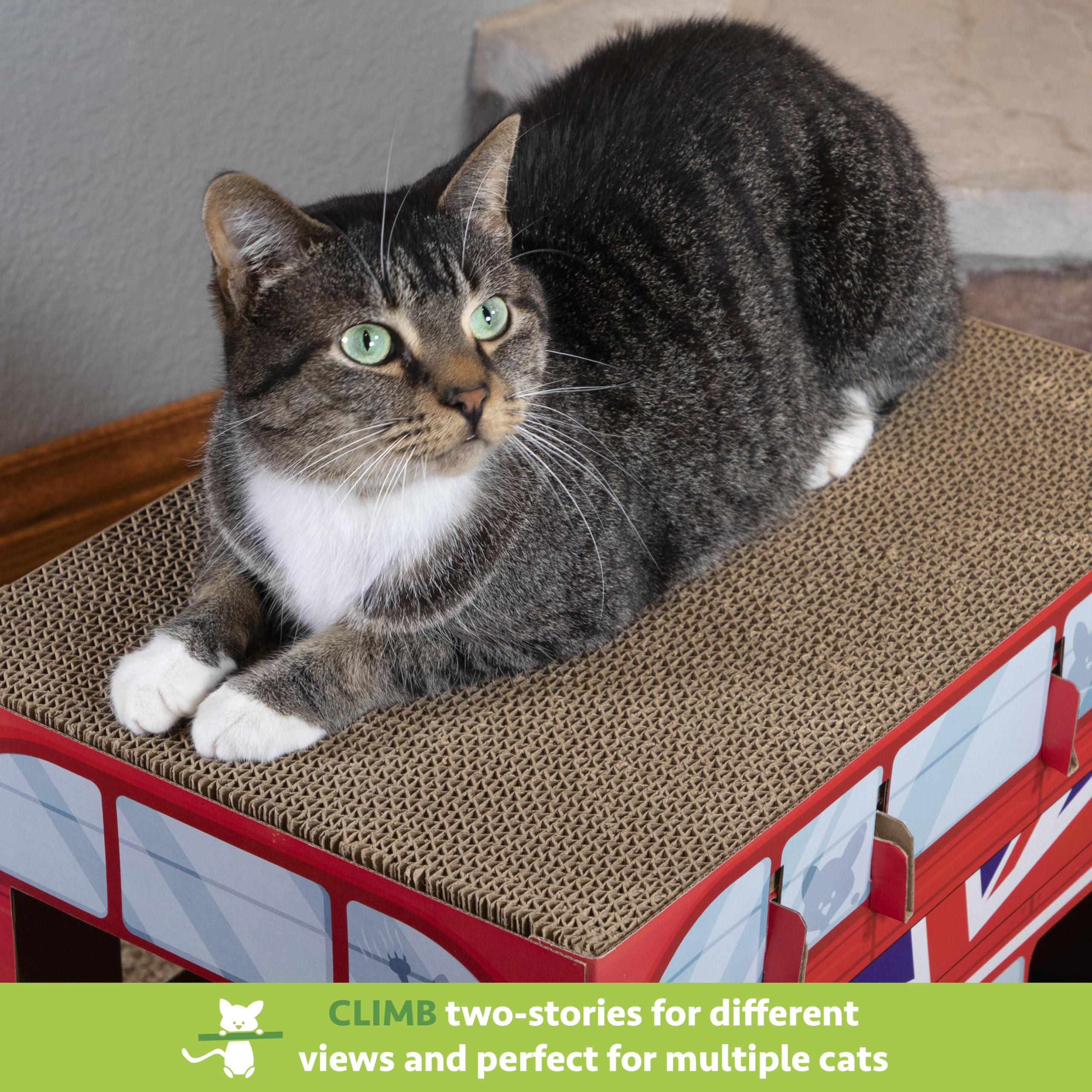 Kitty City Double Decker Bus Cat Scratcher Desertcart Cyprus