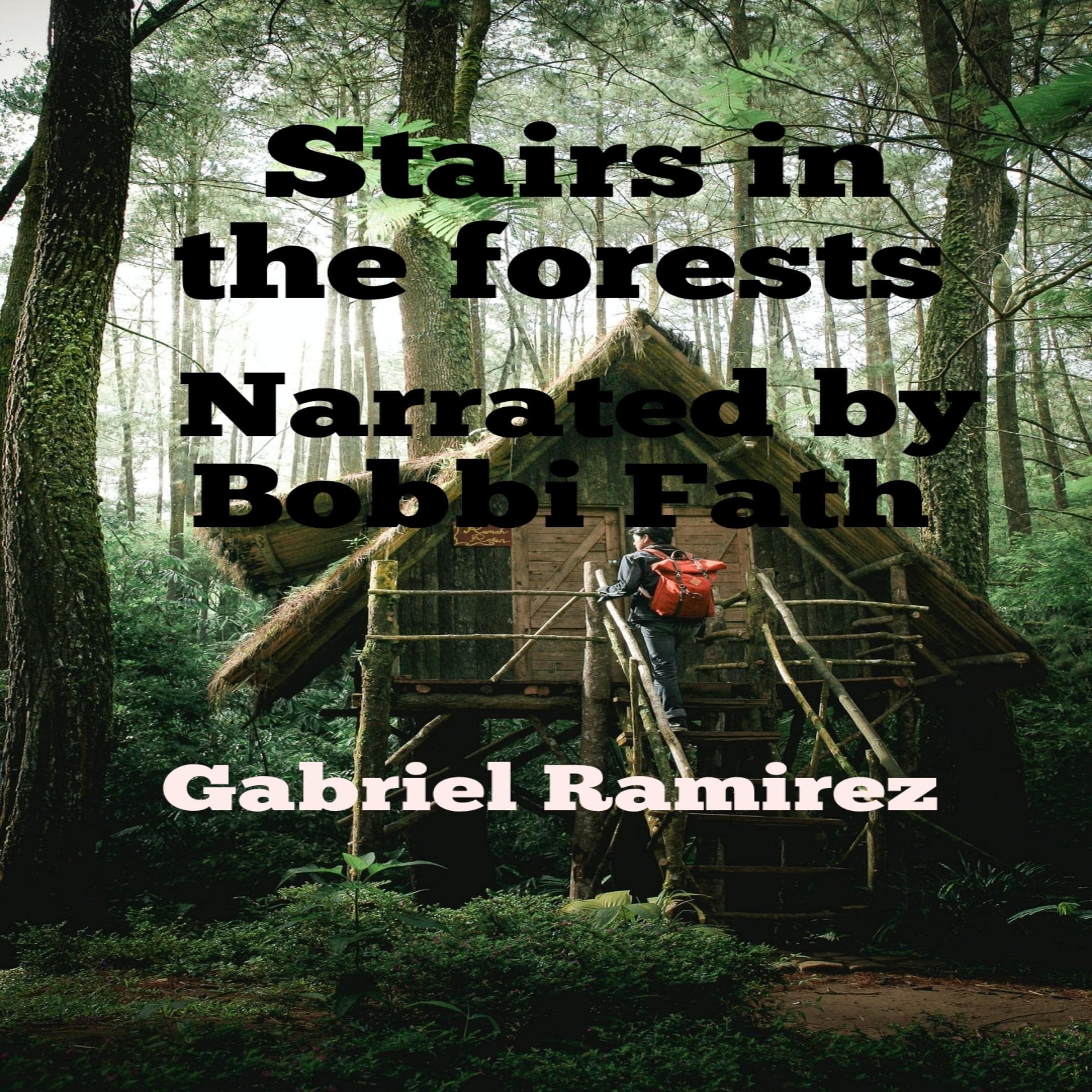 Stairs in the Forests