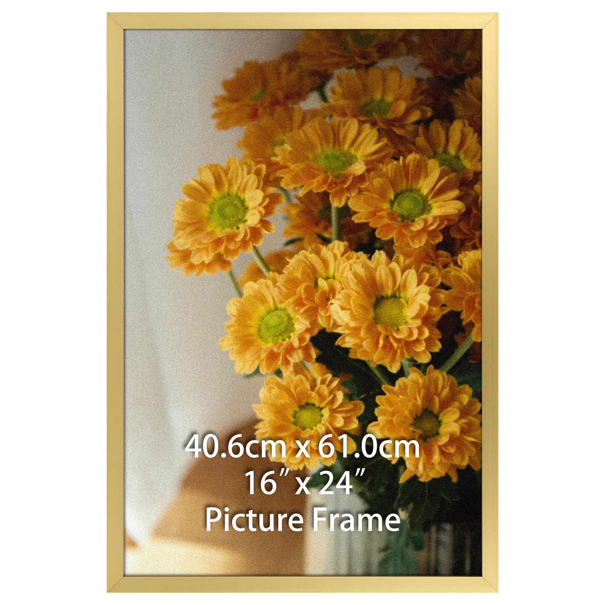 Vasemouh 40x60 cm Picture Frame Gold, Single Aluminium 16x24 Inch Poster Frame Horizontal or Vertical Wall Mounting for Home, Office, Gallery — image 1
