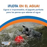 Ver la foto 5