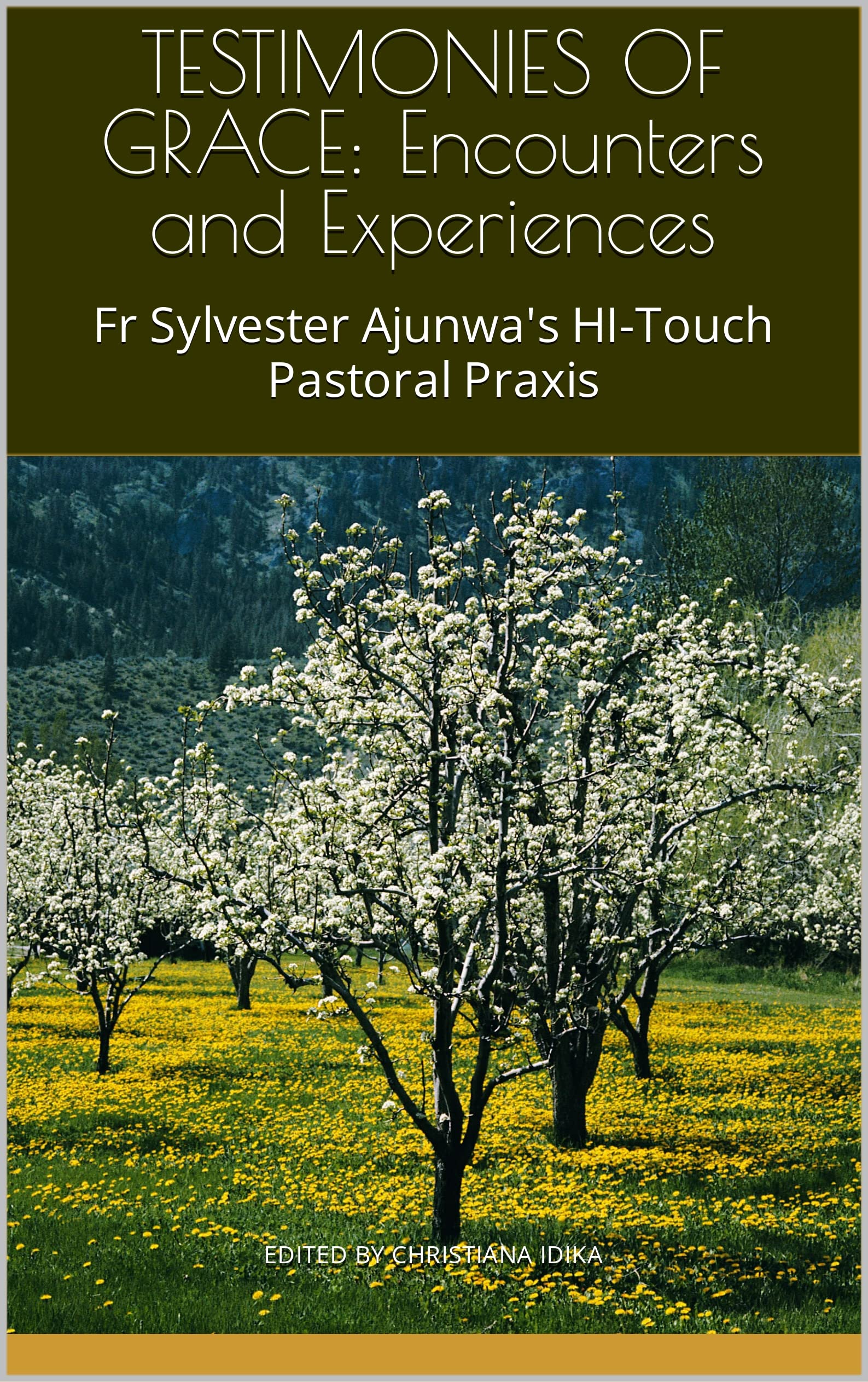 TESTIMONIES OF GRACE: Encounters and Experiences: Fr Sylvester Ajunwa's HI-Touch Pastoral Praxis