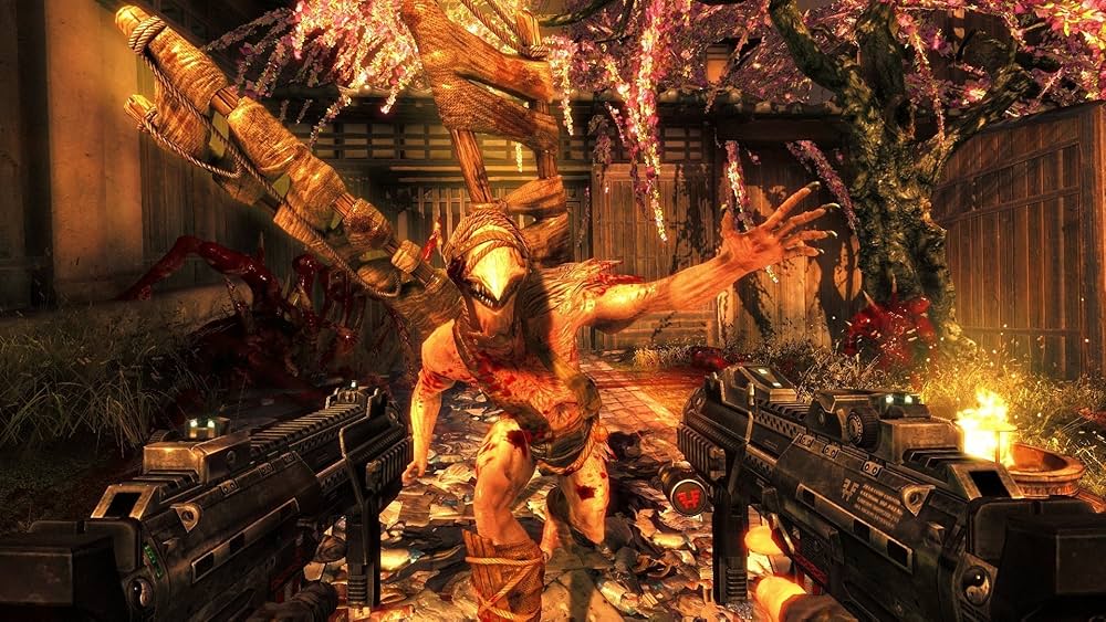 Amazon.com: Shadow Warrior Nla : Majesco Sales Inc: Video Games