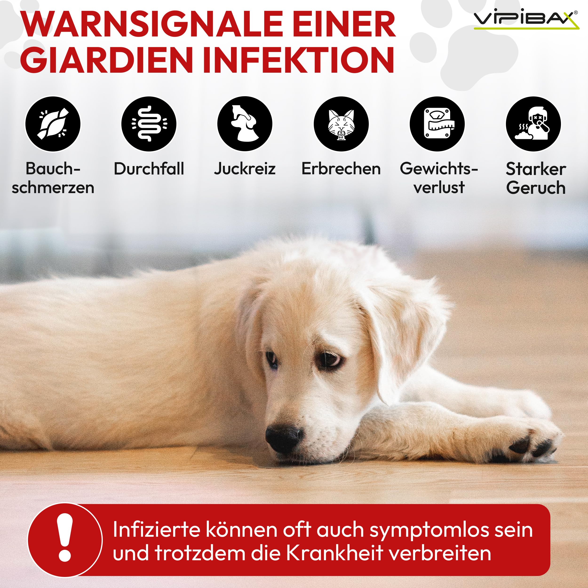 ViPiBaX Giardien EX Hygiene-Spray für Hund, Katze & Co - Geruchsentferner - Hygiene-Spray - Effektive Desinfektion gegen Giardien, Viren, Pilze & Bakterien - 500ml