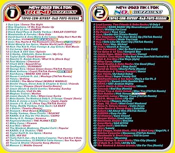 Tik Tok コレクション　４３曲　DVD　❤＊＊　メルカリ便　除菌発送！ 81xCZ2ll-TL.jpg