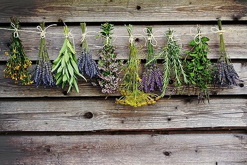 Miniatura 4 de BOGUE Jabón orgánico de leche de cabra hecho a mano - N34 WELLNESS Calm Down mezcla de aceites esenciales calmantes de lavanda, incienso, salvia