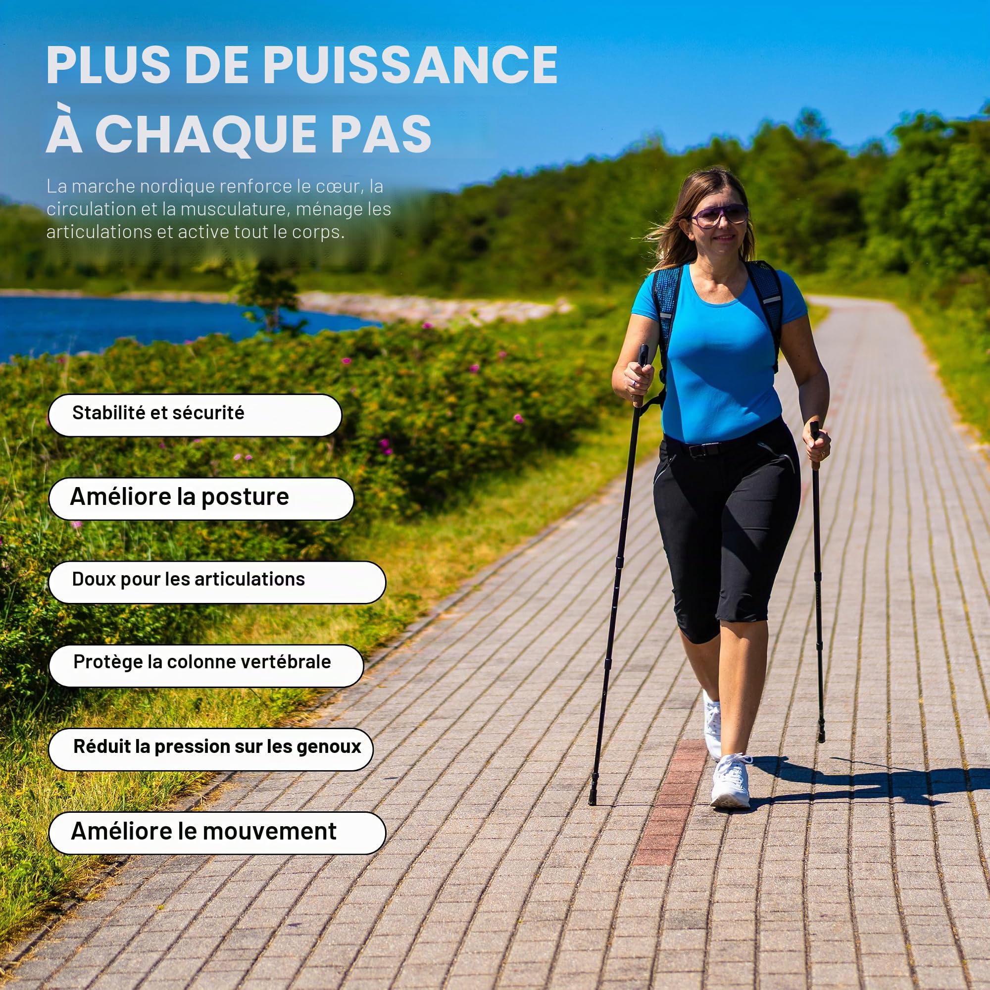 Bâtons de marche nordique Premium - Haute Qualité - ultra-léger - Walking Sticks